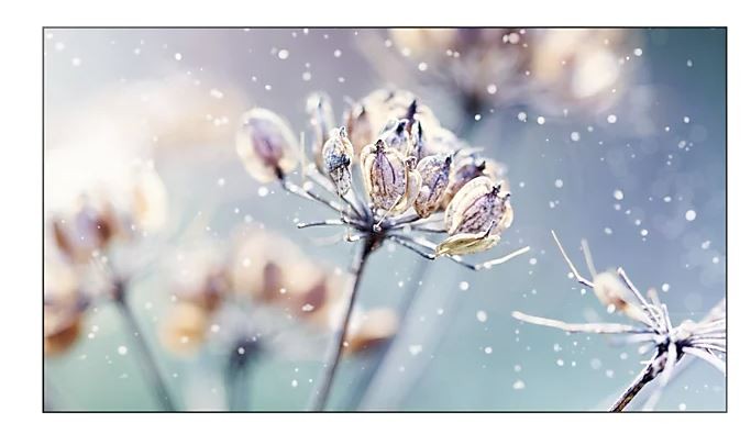 821080_1651600.jpeg Samsung Video Wall VMR-U Series 46" Full HD LED Commercial Display - Image 1