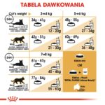 ROYAL CANIN FBN Bengal Adult - dry cat food - 10kg - Image 6