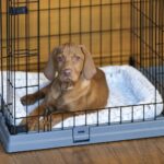 FERPLAST Superior 90 - dog cage - 92 x 58.5 x 62.5 cm - Image 3