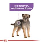 Royal Canin CCN MINI STERILISED - dry food for adult dogs - 8kg - Image 4