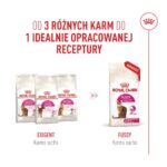 ROYAL CANIN Exigent Fussy - dry cat food - 10kg - Image 6