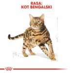 ROYAL CANIN FBN Bengal Adult - dry cat food - 10kg - Image 5