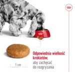 ROYAL CANIN SHN Medium Adult - dry dog food - 15kg - Image 9