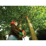 Black & Decker PS7525 High Pruner - Image 3