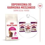 ROYAL CANIN Exigent Fussy - dry cat food - 10kg - Image 2