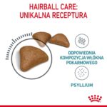 Royal Canin Hairball Care cats dry food 10 kg Adult Corn  Poultry  Rice  Vegetable - Image 4