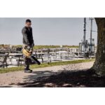 DEWALT Blower Handheld 54V with 1 Battery 9Ah & Volume Adjustment with Maximum Air Speed 258km/h - Image 5