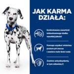 HILL'S PRESCRIPTION DIET Urinary Care Canine u/d Dry dog food 10 kg - Image 3