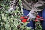 Einhell GP-LS 18/28 Li Telescopic Extendable Pruning Saw 3.8m with Scissor Opening Size 28mm - Image 2