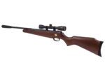 Air Rifle BEEMAN USA QUIET TEK m.1153 GAS RAM k.5.5 mm - Image 6