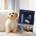 ADDVENA Power of Nature Junior Small Lamb - dry dog food - 10kg - Image 2