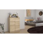 Topeshop 2D2S SONOMA chest of drawers - Image 3
