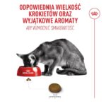 ROYAL CANIN Exigent Fussy - dry cat food - 10kg - Image 9