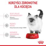 Royal Canin Kitten cats dry food 10 kg - Image 3