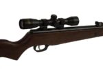 Air Rifle BEEMAN USA GRIZZLY X2 m.1073GP GAS RAM k.4 5/5 5 mm - Image 9