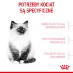 Royal Canin Kitten cats dry food 10 kg - Image 2
