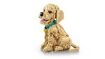 LEGO Icons Golden Retriever Puppy for 18+ Years 2102 Pieces - Image 6