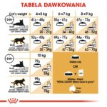 ROYAL CANIN FBN Maine Coon Adult dry cat food - 10kg - Image 7