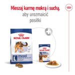 ROYAL CANIN Maxi Adult - dry dog food - 15 kg - Image 3