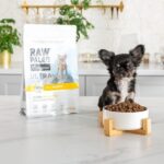 VETEXPERT Raw Paleo Ultra Mini Puppy Turkey - dry food for puppies - 8 kg - Image 4