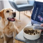 ADDVENA Power of Nature Senior Medium/Large Mono Lamb - dry dog food - 10kg - Image 5