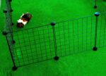 C&C Modular dog kennel 180x75 cm - Image 10