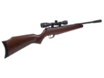 Air Rifle BEEMAN USA QUIET TEK m.1153 GAS RAM k.5.5 mm - Image 4
