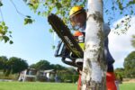 Ryobi OCS1830 Battery Chainsaw Solo Brushless 18V 3.2kg with Blade 30cm - Image 10