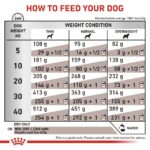 ROYAL CANIN Dog Hepatic VHN - dry dog food - 7kg - Image 4