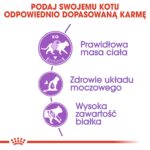 ROYAL CANIN Sterilised 37 - dry cat food - 10 kg - Image 6