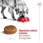 ROYAL CANIN Maxi Adult 5+ - dry dog food - 15 kg - Image 4