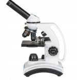 Delta Optical Biolight 300 microscope - Image 5