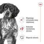 ROYAL CANIN SHN Medium Adult - dry dog food - 15kg - Image 5