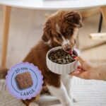 ADDVENA Boosted by superfoods Junior Medium/Large Beef - dry dog food - 10kg - Image 3
