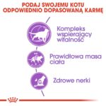 ROYAL CANIN Sterilised 7+ - dry cat food - 10 kg - Image 6