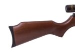 Air Rifle BEEMAN USA QUIET TEK m.1153 GAS RAM k.5.5 mm - Image 7