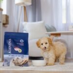ADDVENA Power of Nature Junior Small Lamb - dry dog food - 10kg - Image 3