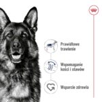 ROYAL CANIN Maxi Adult - dry dog food - 15 kg - Image 10