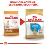 ROYAL CANIN SHN Breed Labrador Junior dry dog food - 12 kg - Image 7