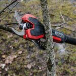 Einhell 3408360 Fixed Extension Pruner with 35mm Scissor Opening Size - Image 4
