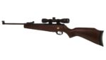 Air Rifle BEEMAN USA GRIZZLY X2 m.1073GP GAS RAM k.4 5/5 5 mm - Image 8