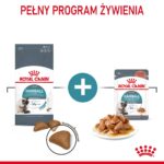 Royal Canin Hairball Care cats dry food 10 kg Adult Corn  Poultry  Rice  Vegetable - Image 7