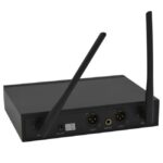 DNA DJ DUAL VOCAL - wireless vocal microphone - Image 2