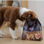 ADDVENA Boosted by superfoods Junior Medium/Large Beef - dry dog food - 10kg - Image 2
