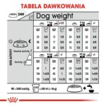 Royal Canin CCN MINI STERILISED - dry food for adult dogs - 8kg - Image 7