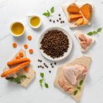 VETEXPERT Raw Paleo Ultra Medium&Large Adult Turkey - dry dog ??food - 10 kg - Image 3