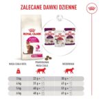 ROYAL CANIN Exigent Fussy - dry cat food - 10kg - Image 5