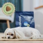 ADDVENA Power of Nature Adult Sensitive Small Lamb - dry dog food - 10kg - Image 3
