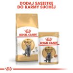 ROYAL CANIN FBN British Shorthair Adult dry cat food - 10 kg - Image 5
