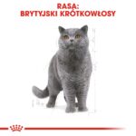 ROYAL CANIN FBN British Shorthair Adult dry cat food - 10 kg - Image 2